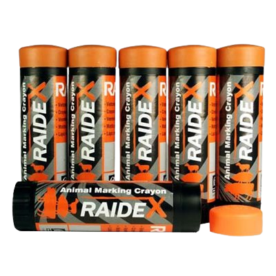 Craie Marqueur Raide x Paquet 10